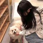 牧场传奇手游满v变态版下载